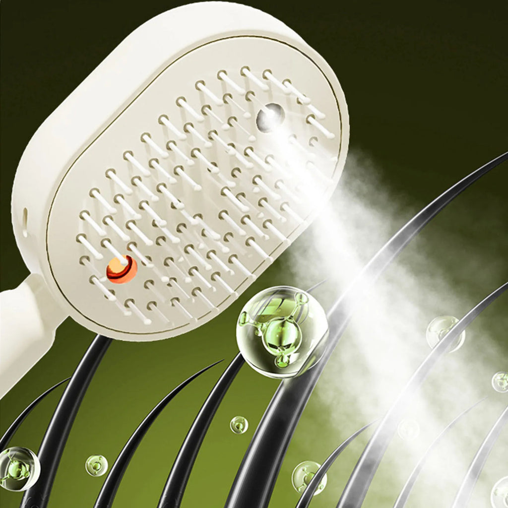 Electric Steam Brush with Water Spray Wet Electrics Hairbrush USB-C Charging for Detangling Smoothing Styling & Frizz Control