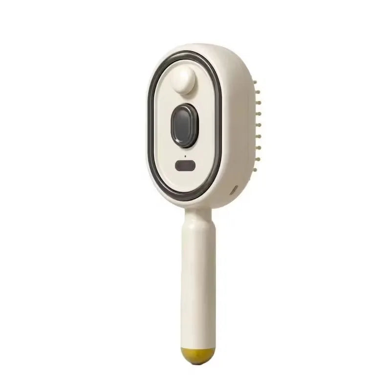 Electric Steam Brush with Water Spray Wet Electrics Hairbrush USB-C Charging for Detangling Smoothing Styling & Frizz Control