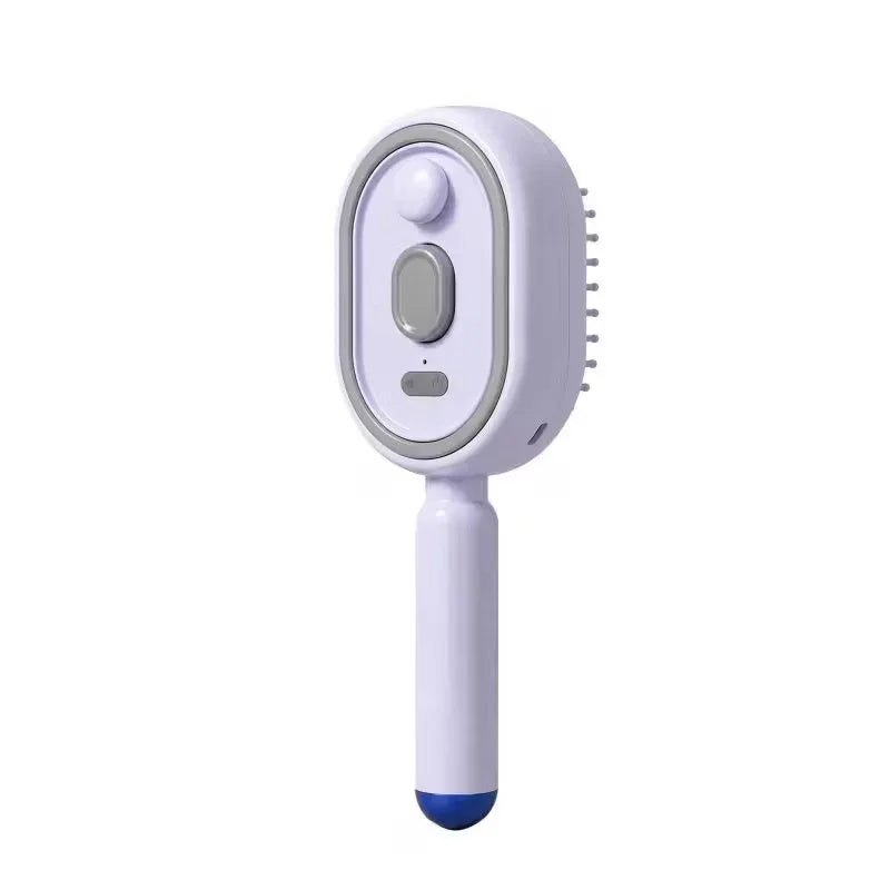 Electric Steam Brush with Water Spray Wet Electrics Hairbrush USB-C Charging for Detangling Smoothing Styling & Frizz Control
